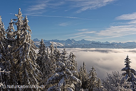 A5-Fotokarte/Klappkarte mit hochwertigem Papierabzug, Einlageblatt und Umschlag. Fototitel: Winterstimmung über dem Nebelmeer (Klappkarte, Kunstkarte)