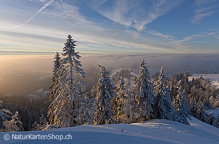 A5-Fotokarte/Klappkarte mit hochwertigem Papierabzug, Einlageblatt und Umschlag. Fototitel: Märchenhafte Winterstimmung (Klappkarte, Kunstkarte)