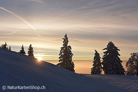 A5-Fotokarte/Klappkarte mit hochwertigem Papierabzug, Einlageblatt und Umschlag. Fototitel: Stimmungsvoller Winterabend (Klappkarte, Kunstkarte)