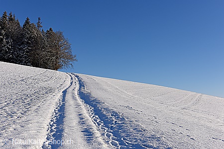 A5-Fotokarte/Klappkarte mit hochwertigem Papierabzug, Einlageblatt und Umschlag. Fototitel: Neujahrskarte Weg (Klappkarte, Kunstkarte)