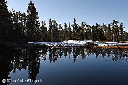 A5-Fotokarte/Klappkarte mit hochwertigem Papierabzug, Einlageblatt und Umschlag. Fototitel: Waldsee mit Spiegelbild (Klappkarte, Kunstkarte)