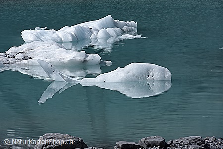 A5-Fotokarte/Klappkarte mit hochwertigem Papierabzug, Einlageblatt und Umschlag. Fototitel: Fisch aus Eis (Klappkarte, Kunstkarte)