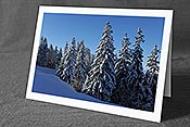 Fotokarte F104605: Weihnachtskarte Verschneiter Wald