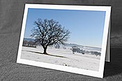 Fotokarte F115596: Baum in Winterlandschaft