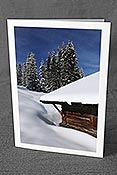Fotokarte F127265: Alphütte und verschneiter Tannenwald