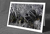 Fotokarte F142464: Glitzernde Eiskristalle und Eissterne