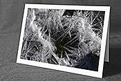 Fotokarte F142471: Eiskristalle