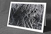 Fotokarte F142472: Eiskristalle mit langen, kräftigen Strahlen