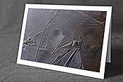 Fotokarte F142956: Kunst in Eis